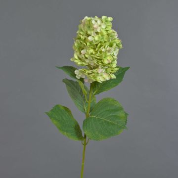 Fleur artificielle Hortensia Paniculata YANGDAN, vert clair, 85cm Fleur artificielle Hortensia Paniculata YANGDAN, vert clair, 85cm