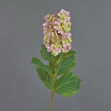 Fleur artificielle Hortensia Paniculata YANGDAN, rose-vert, 85cm Fleur artificielle Hortensia Paniculata YANGDAN, rose-vert, 85cm