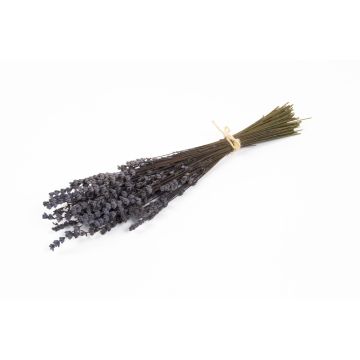 Bouquet de lavande séchée AMAYANTE, lilas, 35cm, Ø10cm Bouquet de lavande séchée AMAYANTE, lilas, 35cm, Ø10cm