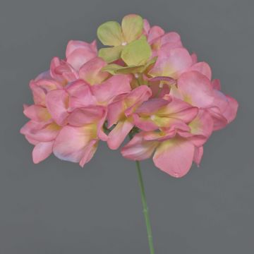 Fleur décorative Hortensia FUHUA, rose-crème, 25cm