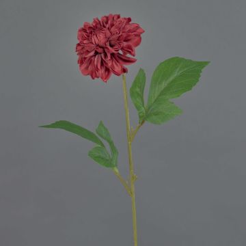 Fleur artificielle dahlia WANRU, rouge bourgogne, 50cm Fleur artificielle dahlia WANRU, rouge bourgogne, 50cm