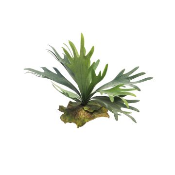 Plante artificielle fougère corne de cerf MIAOLI, piquet, vert, 25cm Plante artificielle fougère corne de cerf MIAOLI, piquet, vert, 25cm