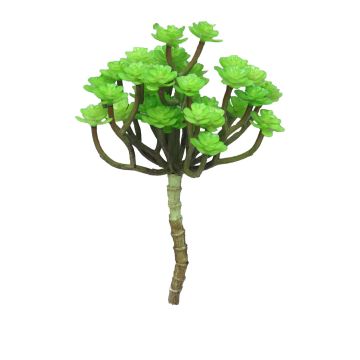 Fausse plante Echeveria macdougallii ULUO sur piquet, vert, 19cm