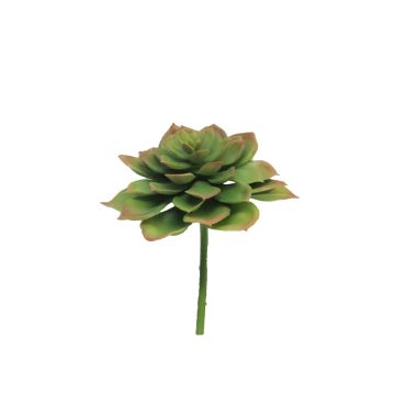 Plante en plastique Echeveria morani XINYA sur piquet, vert-rouge, 17cm Plante en plastique Echeveria morani XINYA sur piquet, vert-rouge, 17cm
