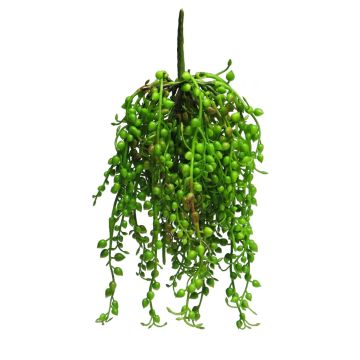 Suspension de Senecio en plastique RUIAN sur piquet, vert, 25cm
