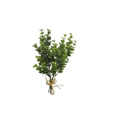 Eucalyptus décoratif YANCHEN, vert, 25cm Eucalyptus décoratif YANCHEN, vert, 25cm