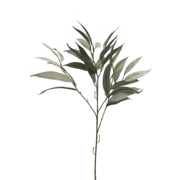 Branche décorative de manguier WENLIAN, vert-gris, 75cm Branche décorative de manguier WENLIAN, vert-gris, 75cm