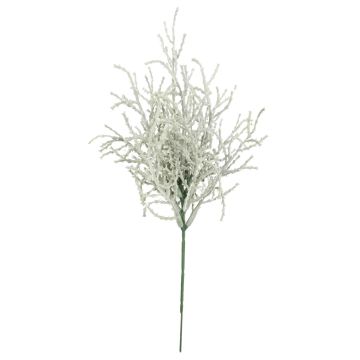 Plante artificielle Santoline petit cyprès ATING, piquet, gris-blanc, 22cm Plante artificielle Santoline petit cyprès ATING, piquet, gris-blanc, 22cm