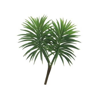 Succulente décorative Pachyphytum hookeri QIULAN, piquet, vert, 18cm Succulente décorative Pachyphytum hookeri QIULAN, piquet, vert, 18cm