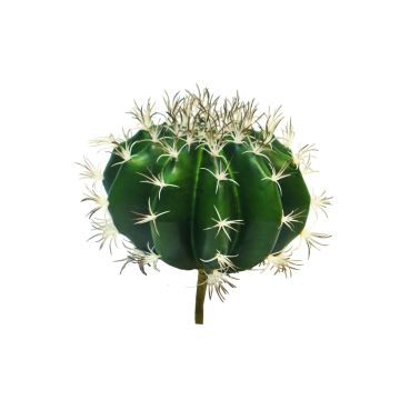 Cactus artificiel 'coussin de belle-mère' TONGNA, piquet, vert, 18cm