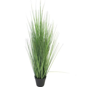 Fausse graminée Millet vivace LIFANG en pot décoratif, vert, 85cm