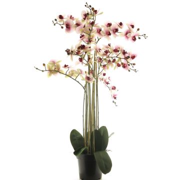 Fleur artificielle orchidée Phalaenopsis CHENXU, rose-crème, 110cm Fleur artificielle orchidée Phalaenopsis CHENXU, rose-crème, 110cm