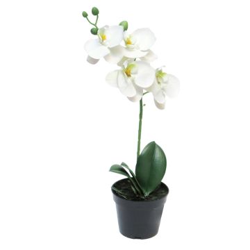 Fleur artificielle orchidée Phalaenopsis CHENXU, blanc, 35cm Fleur artificielle orchidée Phalaenopsis CHENXU, blanc, 35cm