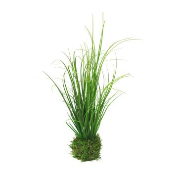 Herbe aux &eacute;couvillons d&eacute;corative WEILIN sur motte d'herbe, vert, 35cm