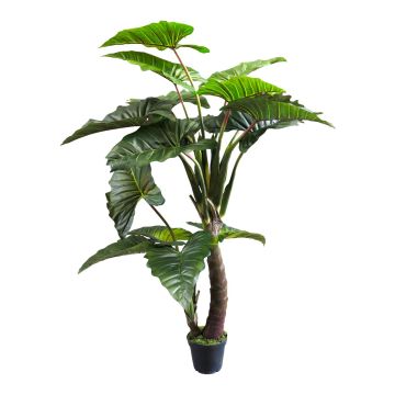 Fausse plante Colocasia FENYUE, vert, 220cm