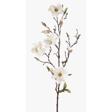 Magnolia synth&eacute;tique LILO, cr&egrave;me, 75cm, &Oslash;5-9cm