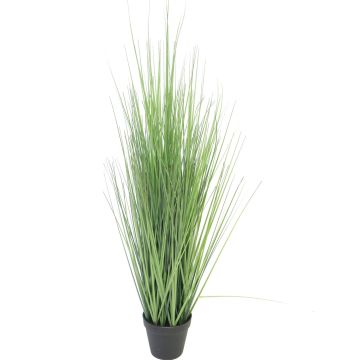 Fausse graminée Millet vivace LIFANG en pot décoratif, vert, 115cm