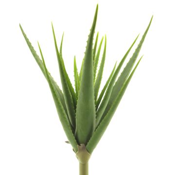 Succulente artificielle Aloe Vera DAHENG sur piquet, vert, 60cm Succulente artificielle Aloe Vera DAHENG sur piquet, vert, 60cm