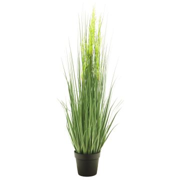 Herbe décorative Achnatherum calamagrostis RULIN avec épis, pot décoratif, vert-jaune, 130cm