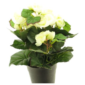 Fleur artificielle Bégonia HETIAN, crème, 25cm Fleur artificielle Bégonia HETIAN, crème, 25cm