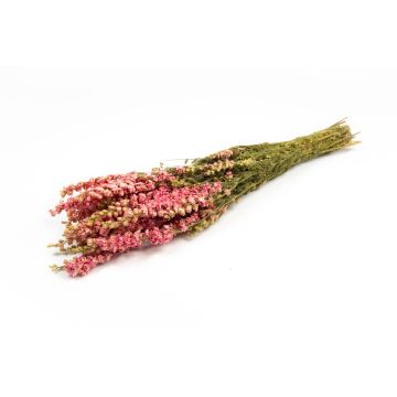 Bouquet séché Pied d'alouette AITHANA, rose-crème, 70cm, Ø18cm