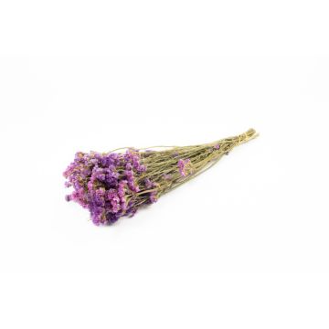 Limonium séché BRINJA, bouquet, lilas, 50-65cm, Ø18cm