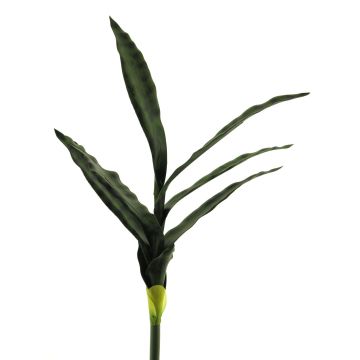 Plante succulente décorative Sansevieria SUNLIN sur piquet, vert, 60cm Plante succulente décorative Sansevieria SUNLIN sur piquet, vert, 60cm