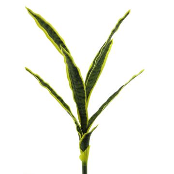 Plante succulente décorative Sansevieria SUNLIN sur piquet, vert-jaune, 60cm Plante succulente décorative Sansevieria SUNLIN sur piquet, vert-jaune, 60cm