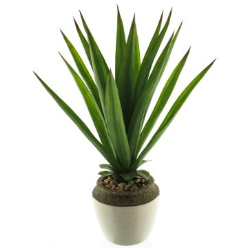 Succulente décorative Aloe Vera SHURUI, pot en céramique, vert, 45cm Succulente décorative Aloe Vera SHURUI, pot en céramique, vert, 45cm