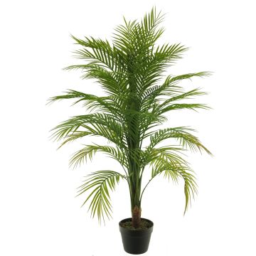 Plante artificielle Palmiste multipliant ANTAI, 120cm Plante artificielle Palmiste multipliant ANTAI, 120cm