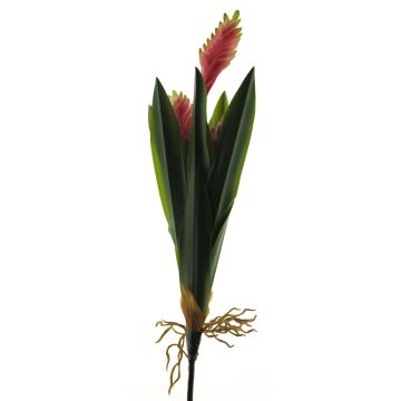 Fausse plante Bromelia MINSHUO avec fleurs, piquet, fuchsia-vert, 55cm