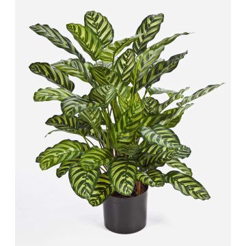 Faux calathea BADU, petit, vert-jaune, 80cm Faux calathea BADU, petit, vert-jaune, 80cm