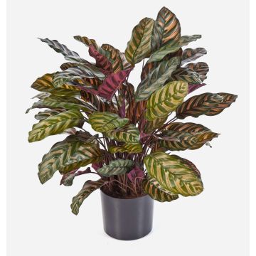 Calathea artificiel BIJAN, grand, vert-rouge, 80cm