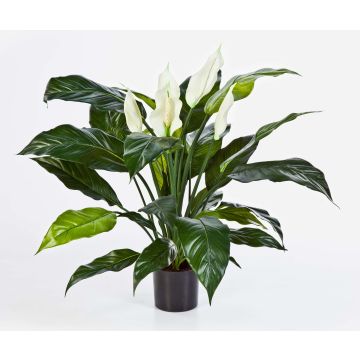 Plante artificielle Spathiphyllum ABBY, avec fleurs, blanc, 75cm