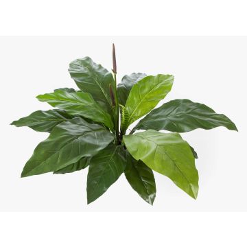 Anthurium artificiel HAILEY, vert, 85cm