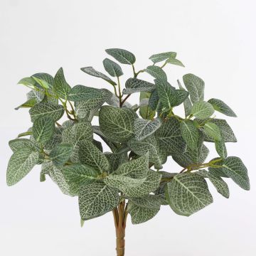 Faux fittonia JAMIRO, sur piquet, vert-blanc, 35cm Faux fittonia JAMIRO, sur piquet, vert-blanc, 35cm