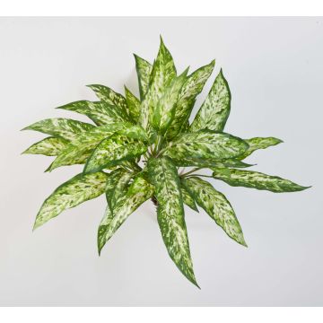 Plante artificielle aglaonéma ASMARA, sur piquet, vert-blanc, 50cm