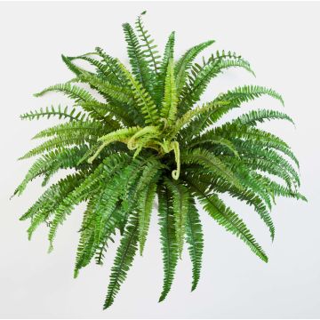 Fougère Athyrium artificielle LEAN, sur piquet, vert, 60cm, Ø85cm