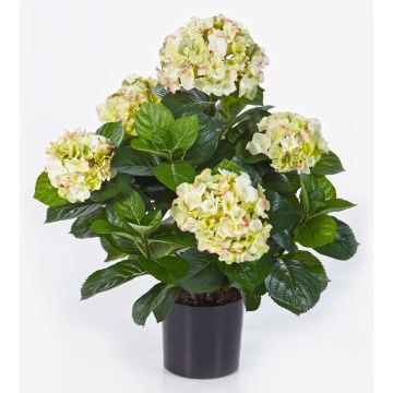 Hortensia en soie HARUKA, vert, 55cm, Ø10-15cm