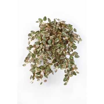 Fausse plante aux éphélides MALAIKA, piquet, vert-rouge, 50cm Fausse plante aux éphélides MALAIKA, piquet, vert-rouge, 50cm