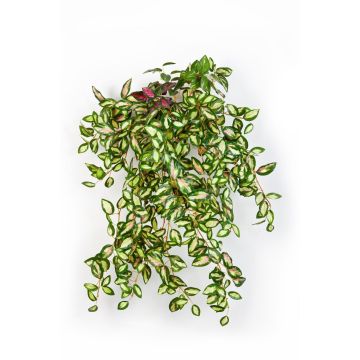 Tradescantia Zebrina synthétique KATYINA, piquet, vert-rouge, 50cm