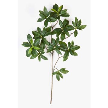 Fausse branche d'euonymus japonicus SACHIKO, vert, 55cm