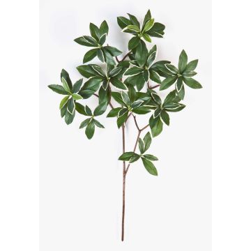 Fausse branche d'euonymus japonicus SACHIKO, vert-blanc, 55cm
