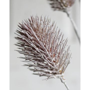 Chardon synthétique STEEN, crème-rose, 80cm, Ø3-4cm Chardon synthétique STEEN, crème-rose, 80cm, Ø3-4cm