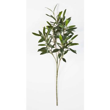 Branche d'olivier artificiel KONSTANTINOS, vert, 50cm
