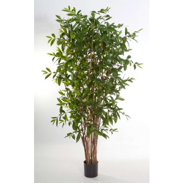 Dracéna Surculosa artificiel SIMBA, troncs naturels, vert, 240cm