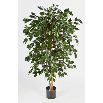Ficus benjamina synthétique DECIO, troncs naturels, vert, 180cm