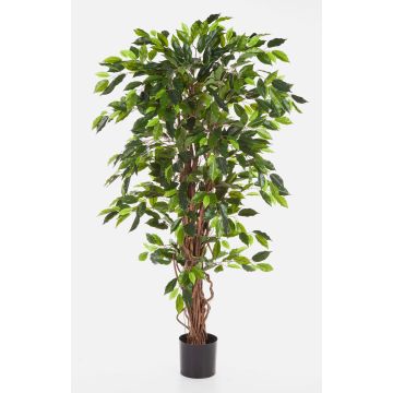 Faux ficus benjamina JARLAN, vrais troncs, vert, 150cm Faux ficus benjamina JARLAN, vrais troncs, vert, 150cm