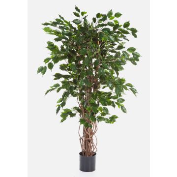 Ficus benjamina artificiel AMELIO, troncs naturels, vert, 180cm