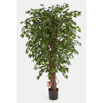 Faux ficus benjamina DAKU, troncs naturels, vert, 90cm Faux ficus benjamina DAKU, troncs naturels, vert, 90cm